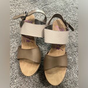 Blowfish wedges